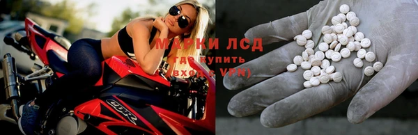 Альфа ПВП Гусев