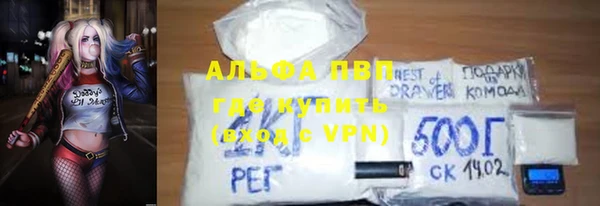 Альфа ПВП Гусев