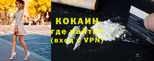 мдпв Щучье