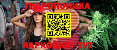 a pvp Гусь-Хрустальный