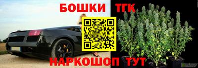 крисы Гусиноозёрск
