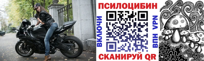 Псилоцибиновые грибы GOLDEN TEACHER цена Можайск