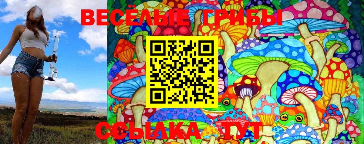 Можайск  даркнет сайт  Вход с VPN  Псилоцибиновые грибы Magic Shrooms 